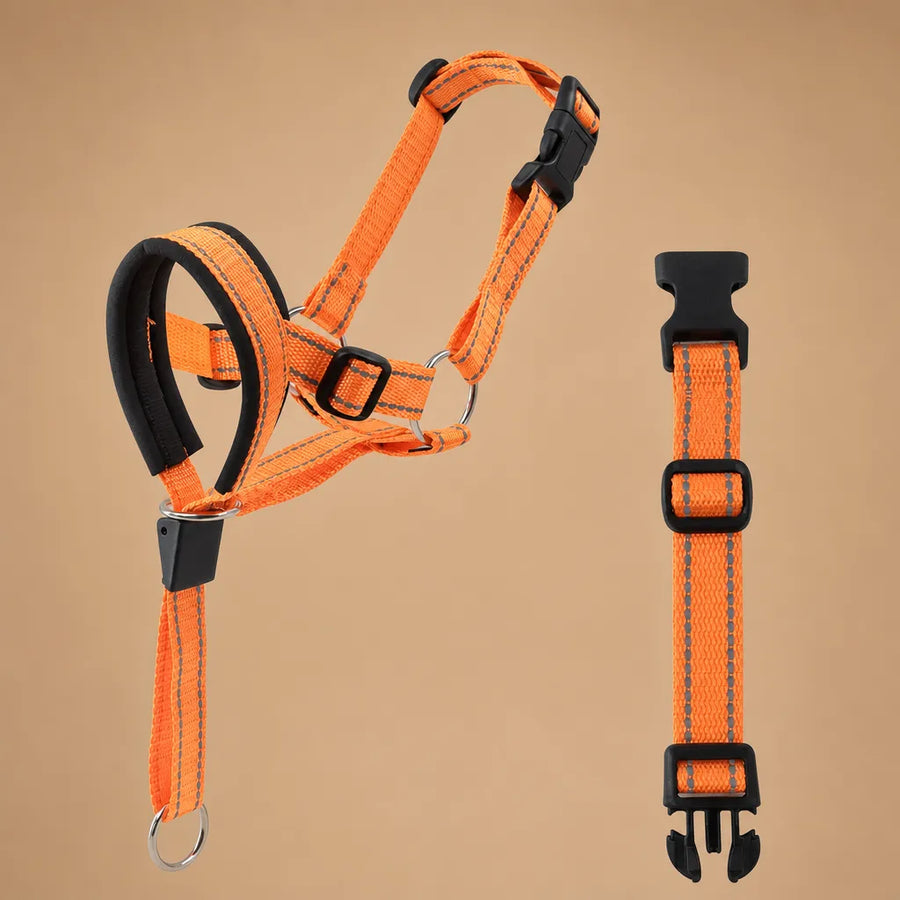 Muselière pour chien - Licol de tête nylon grandes races