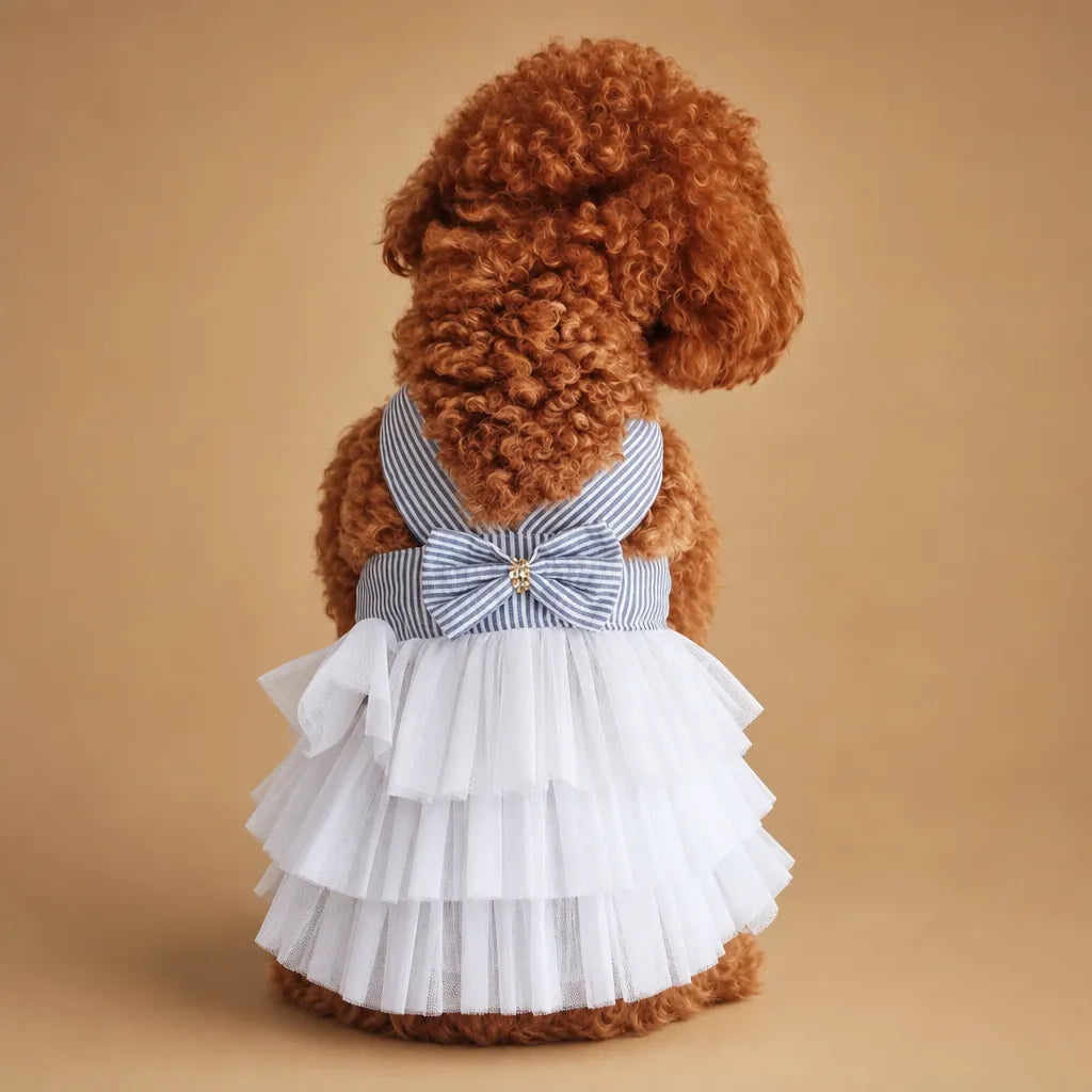 Déguisement chien mariage - Robe tulle élégante pour petite race
