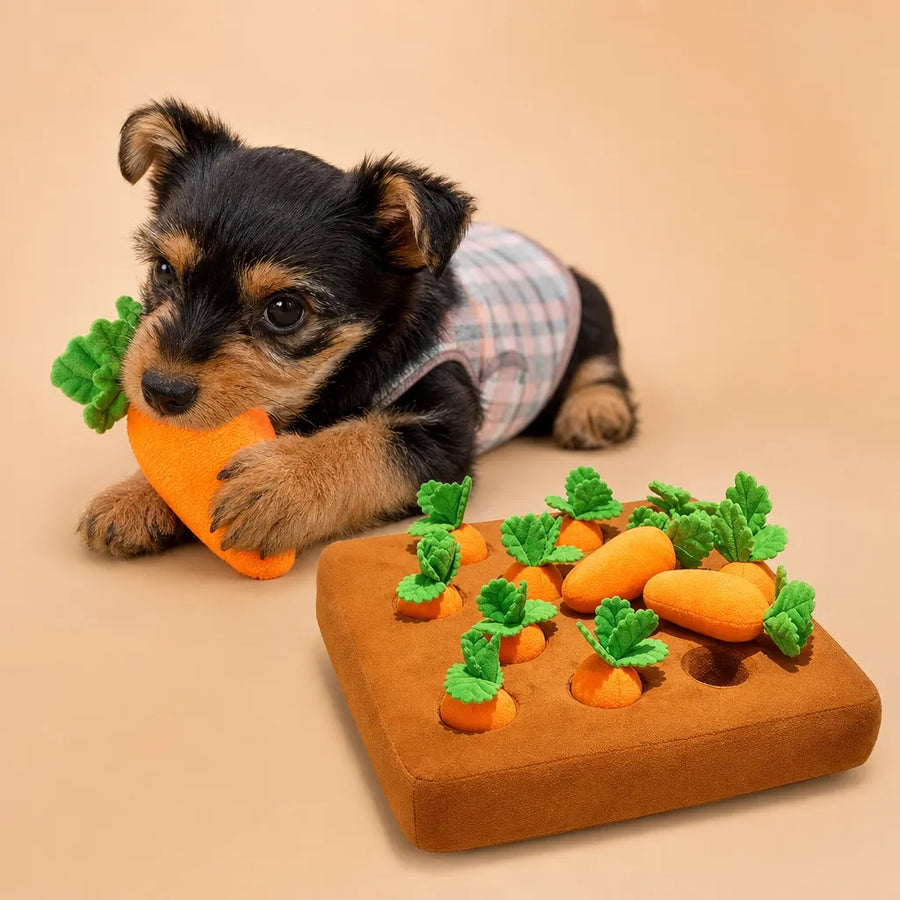 Jouet carotte chien - Tapis de fouille peluche interactif 3 tailles