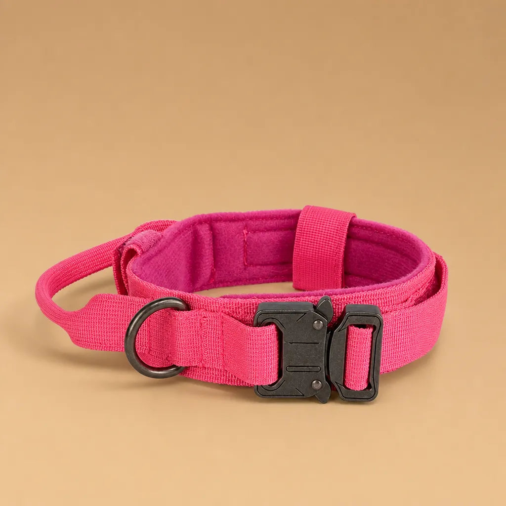 Collier tactique chien - Nylon militaire poignée métal M à XL