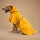 Manteau chien imperméable - capuche réfléchissant