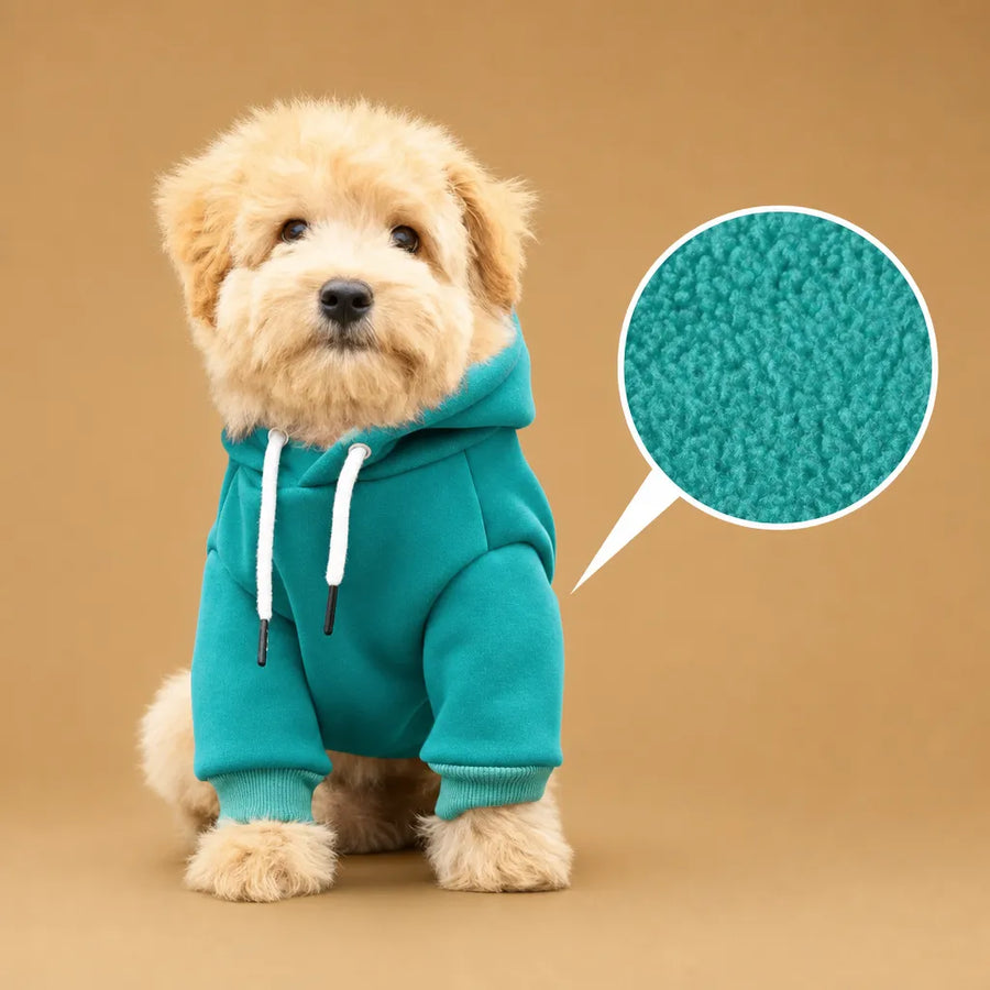 Pull pour petit chien à capuche - Chaud, doux et stylé