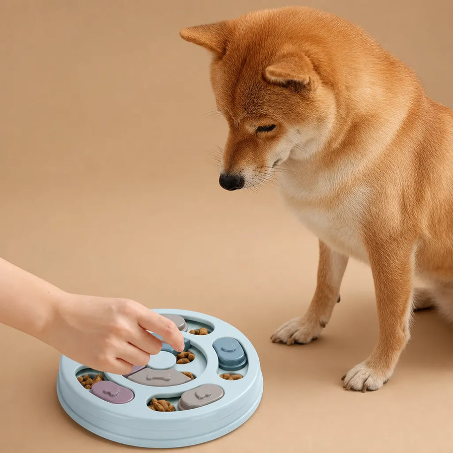 Jouet chien cache nourriture - Plateau interactif rotatif