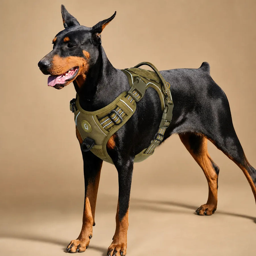 Harnais tactique pour chien - Gilet MOLLE militaire réfléchissant