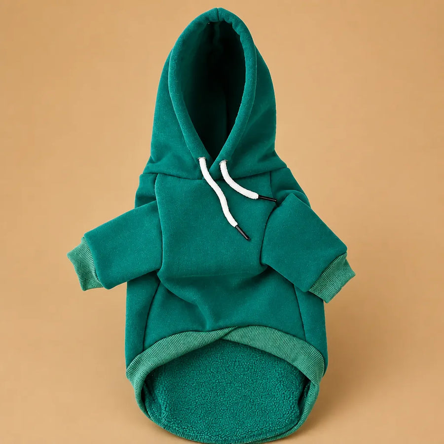 Pull pour petit chien à capuche - Chaud, doux et stylé