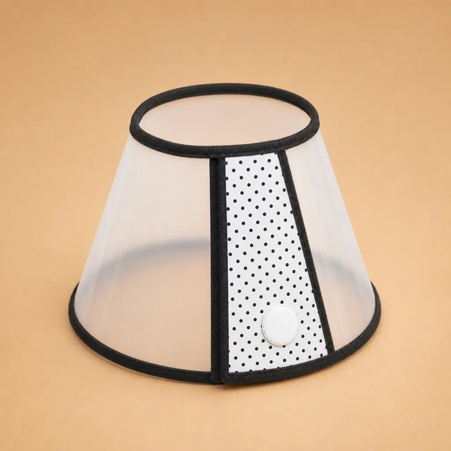Collerette plastique chien transparente - 9 tailles