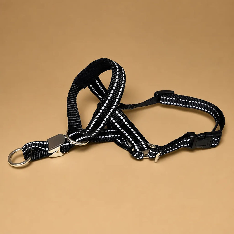 Muselière pour chien - Licol de tête nylon grandes races