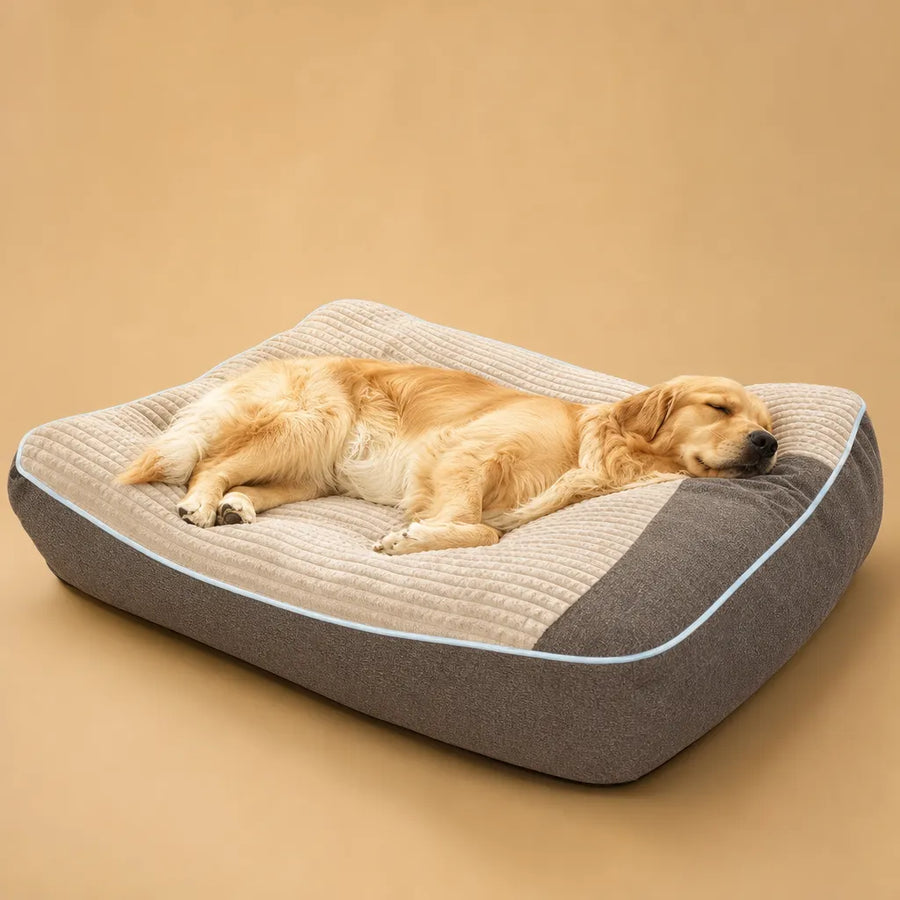 Lit pour Chiens XXL Orthopédique Extra-Épais - 4 Tailles