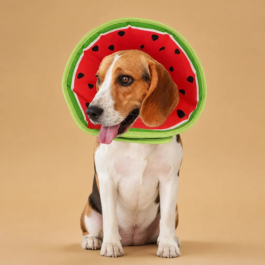 Collerette chien tissu coton - Motifs fruités anti-léchage