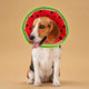 Collerette chien tissu coton - Motifs fruités anti-léchage