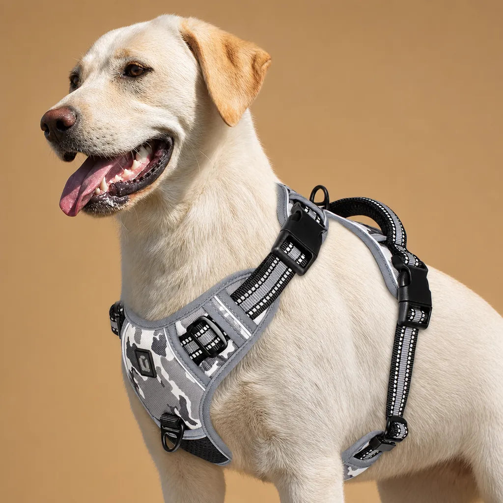 Harnais Chien Réfléchissant Rembourré - Double Attache