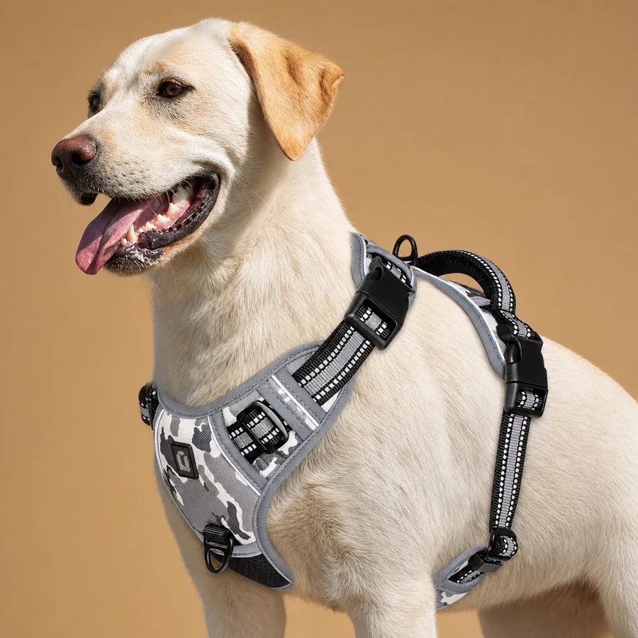 Harnais Chien Réfléchissant Rembourré - Double Attache
