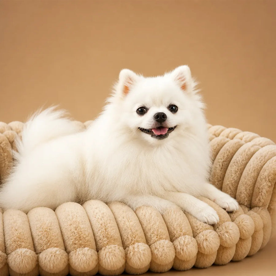 Canapé Lit pour Chien Moelleux - 4 Tailles Dispo