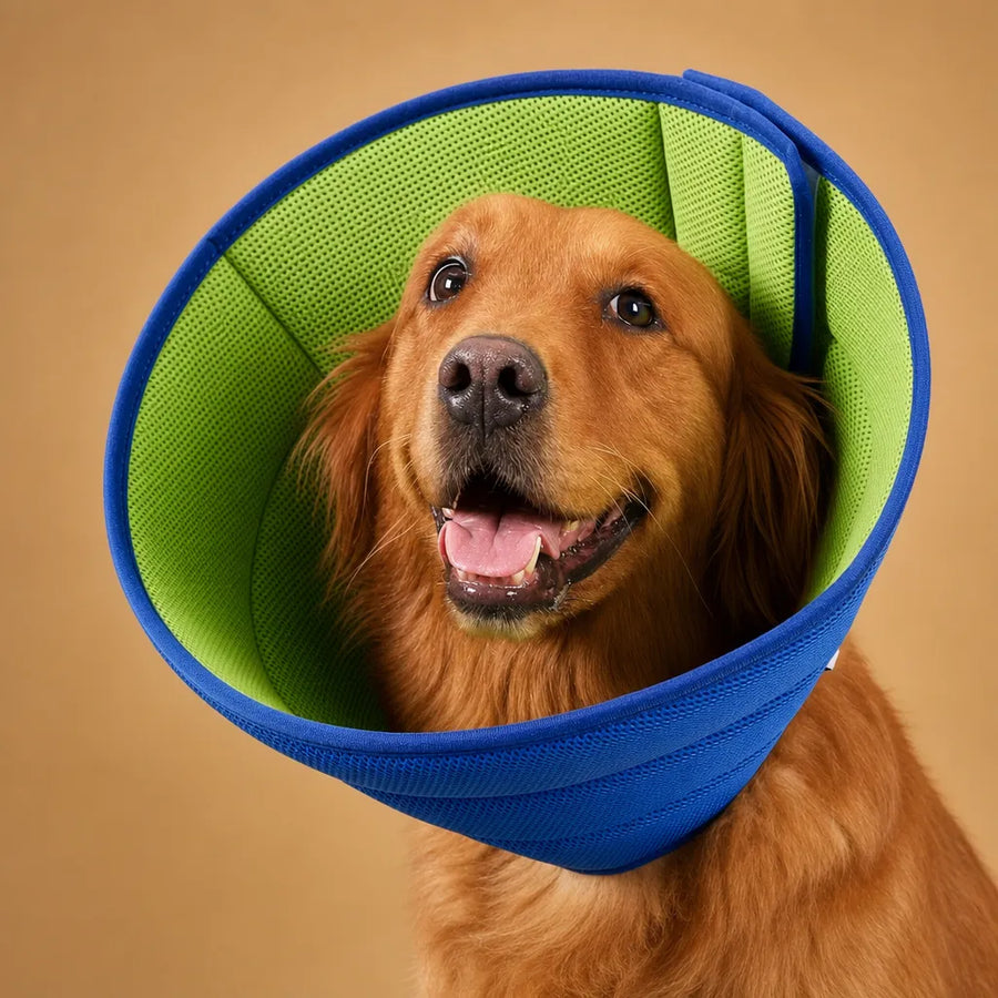 Collerette souple chien en mesh - Anti-léchage et confort