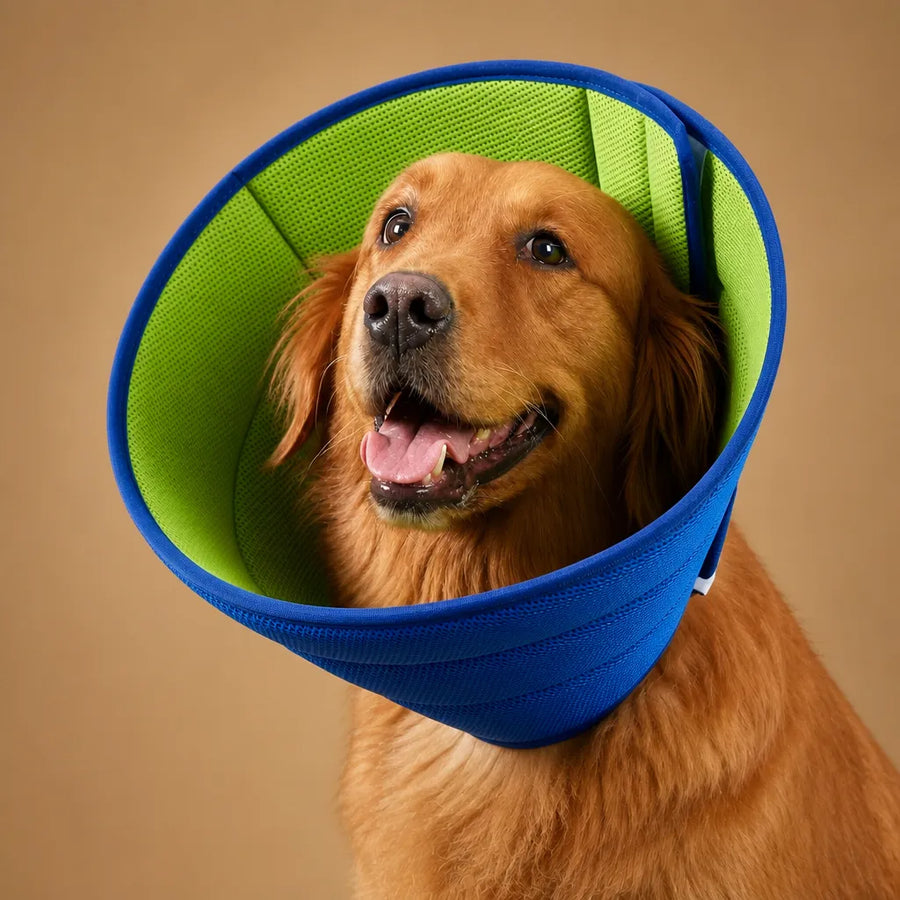 Collerette souple chien en mesh - Anti-léchage et confort