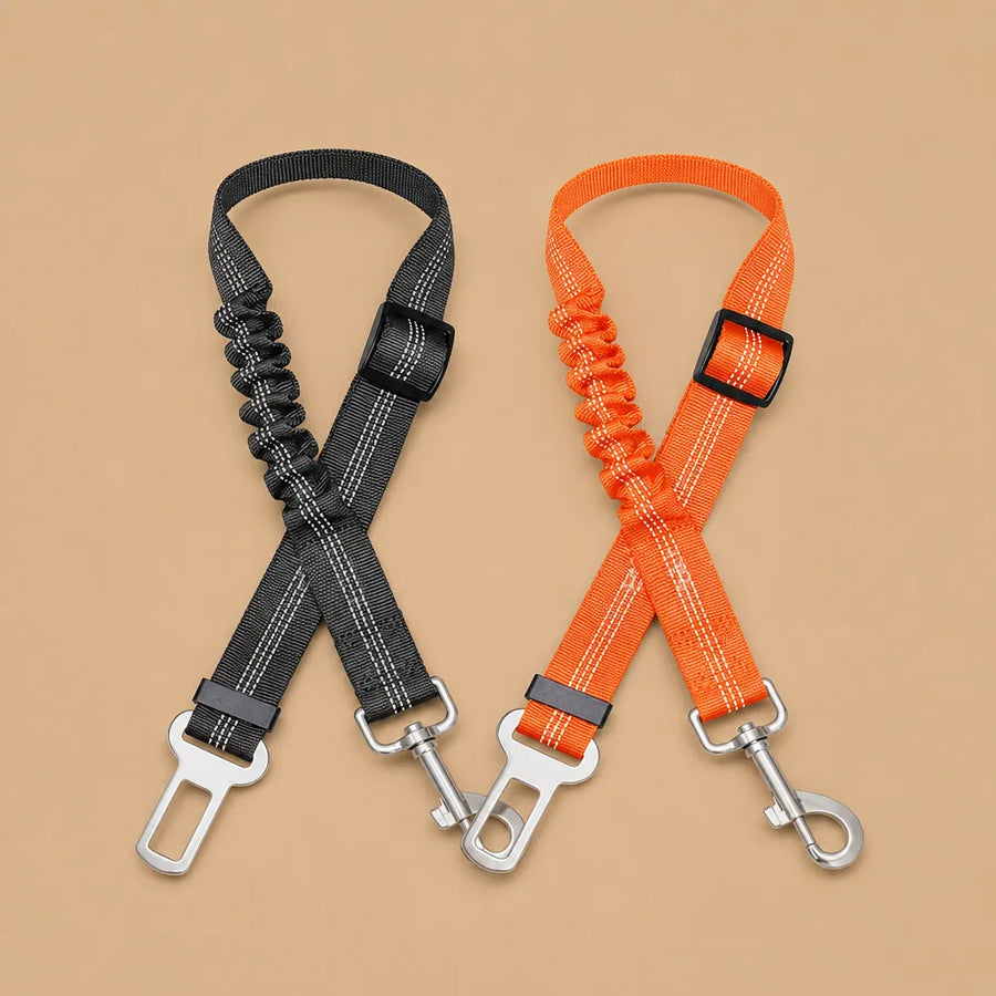 Ceinture de sécurité chien - Nylon réfléchissant réglable
