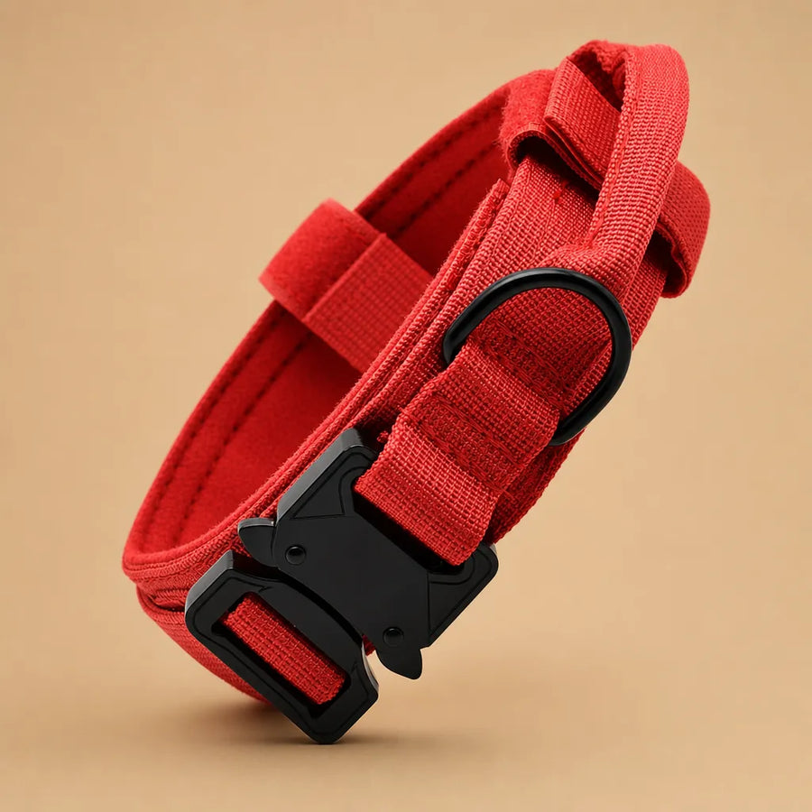 Collier tactique chien - Nylon militaire poignée métal M à XL
