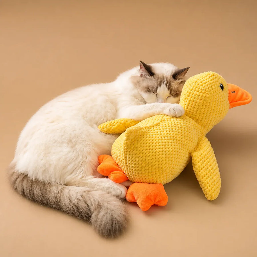 Jouet canard chien sonore - Peluche velours 3 tailles résistante