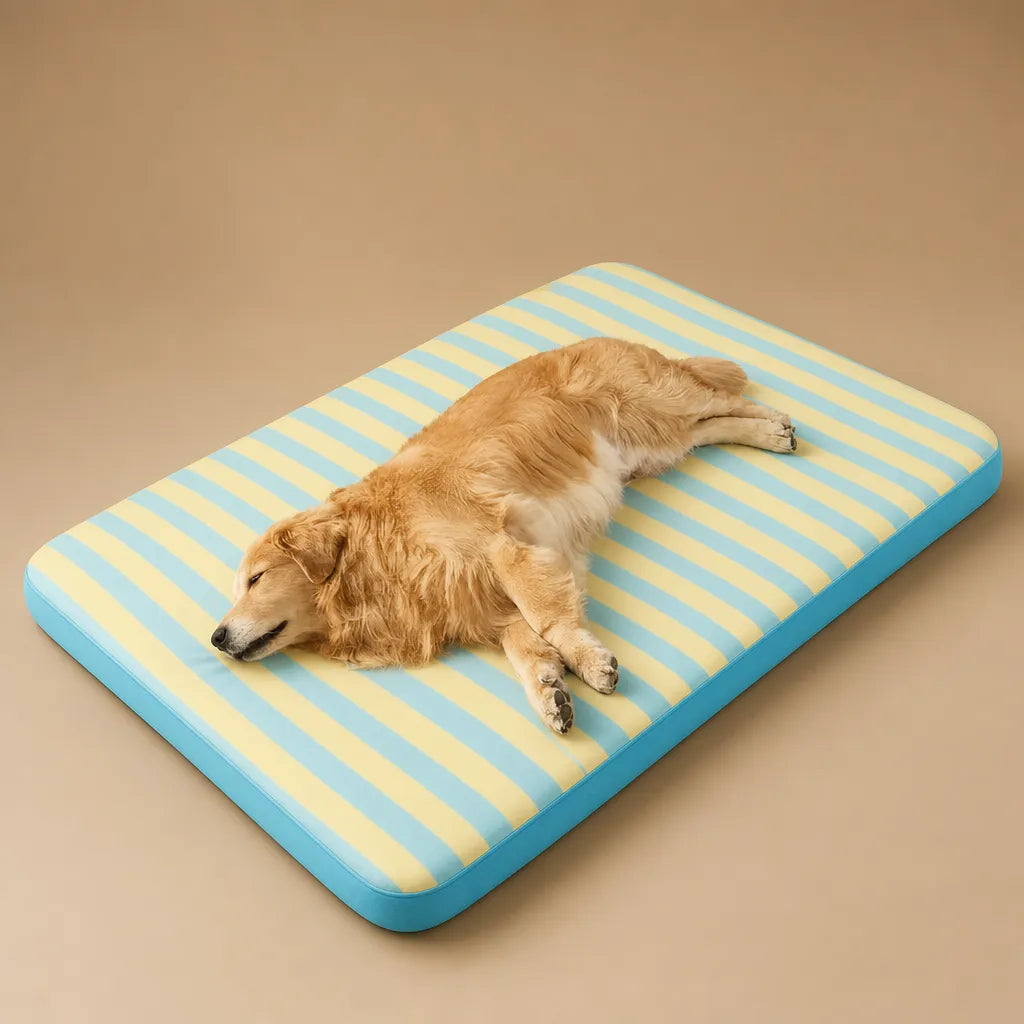 Tapis Frais pour Chien - Respirant et Confortable pour l'été