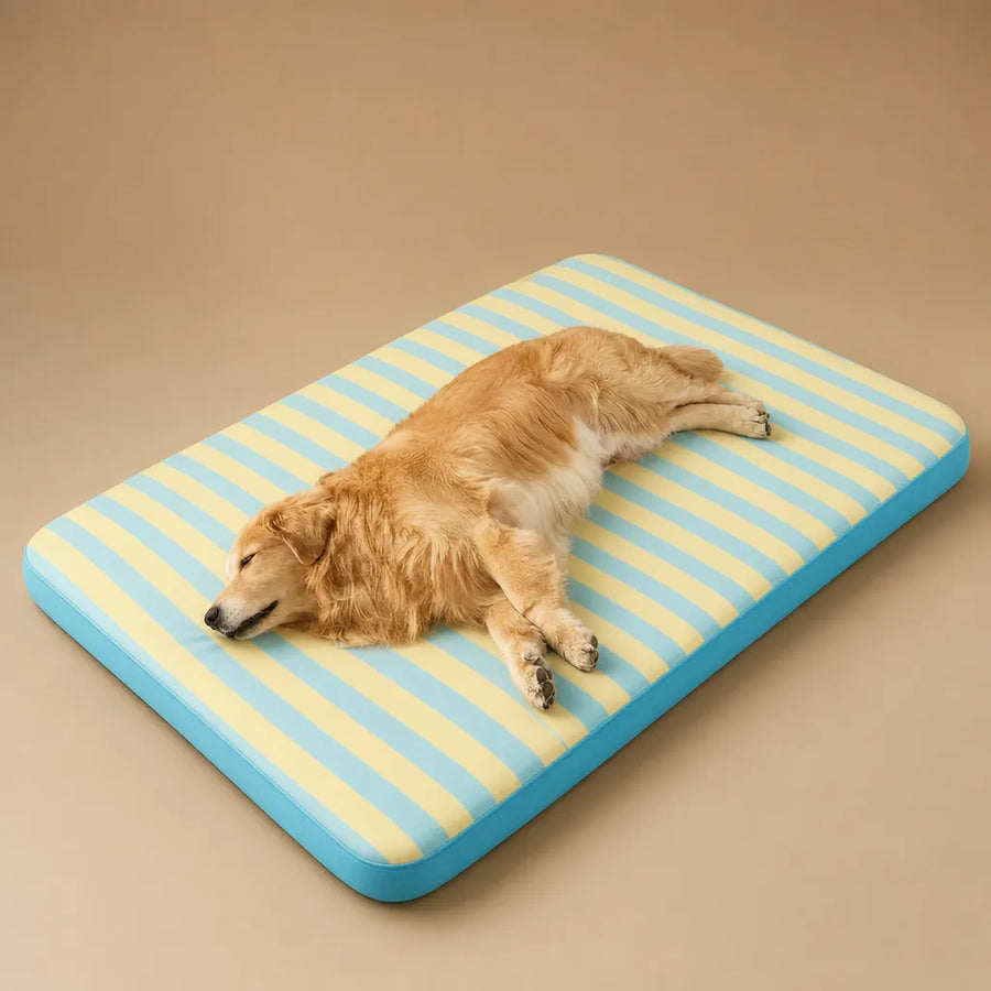 Tapis Frais pour Chien - Respirant et Confortable pour l'été