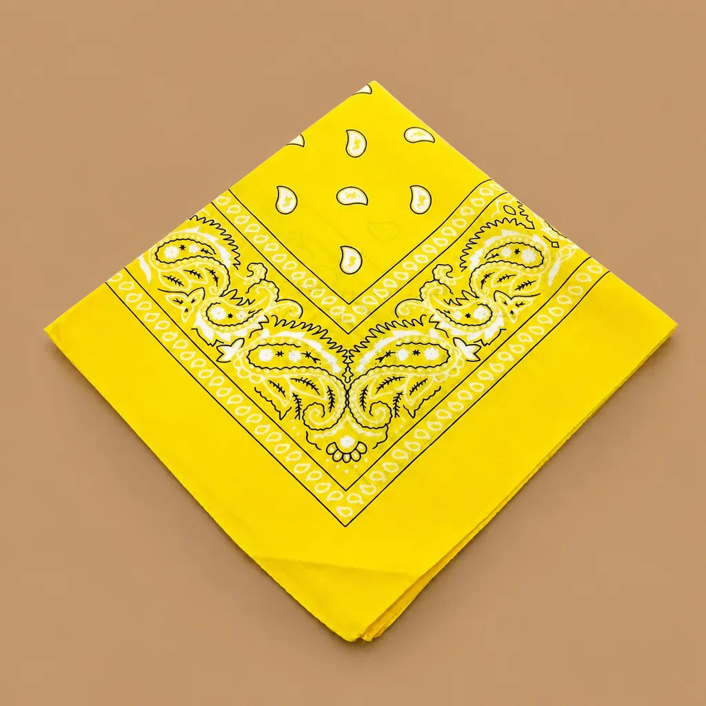 Bandana chien original paisley - 14 coloris 55 cm