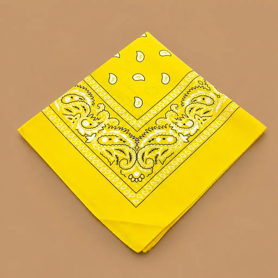 Bandana chien original paisley - 14 coloris 55 cm