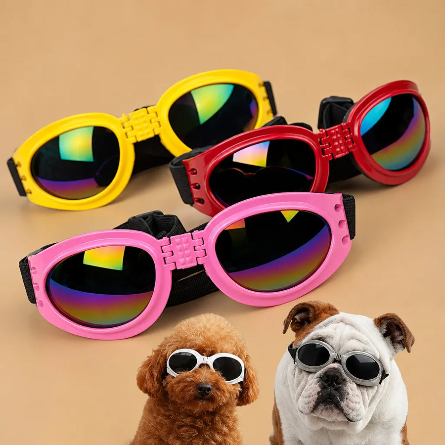 Lunette de soleil pour chien pliable - Double sangle 6 coloris