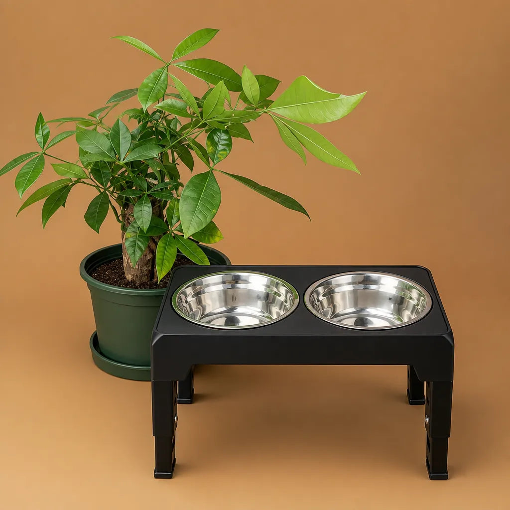 Support gamelle pour chien surélevé réglable - Double bol