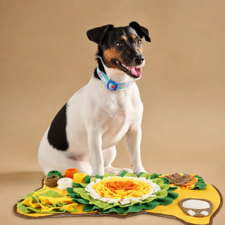 Tapis de fouille pour chien antidérapant - Forme os