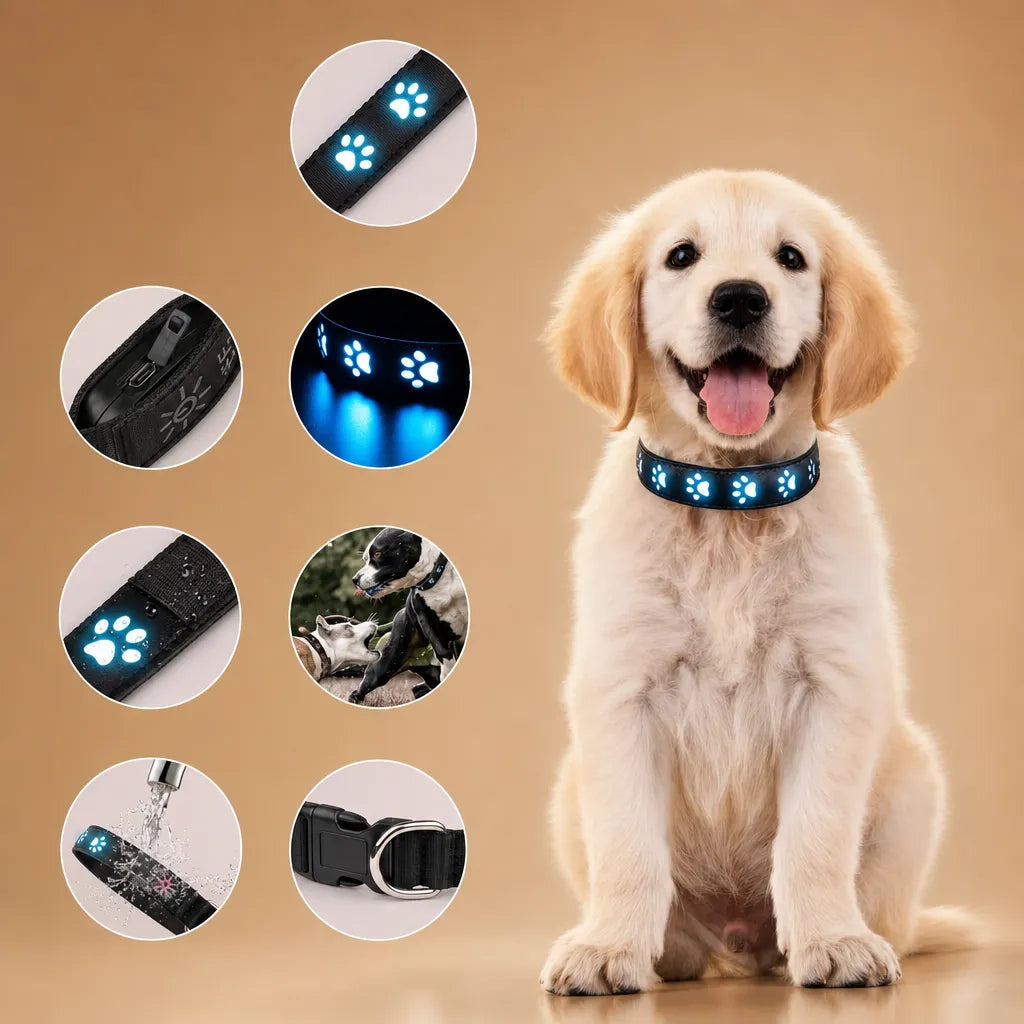 Collier lumineux pour chien - 7 modes LED USB 500 mètres