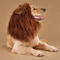 Marron foncé