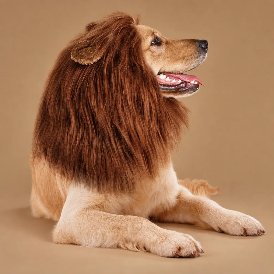 Crinière de lion pour chien - Perruque réaliste et ajustable
