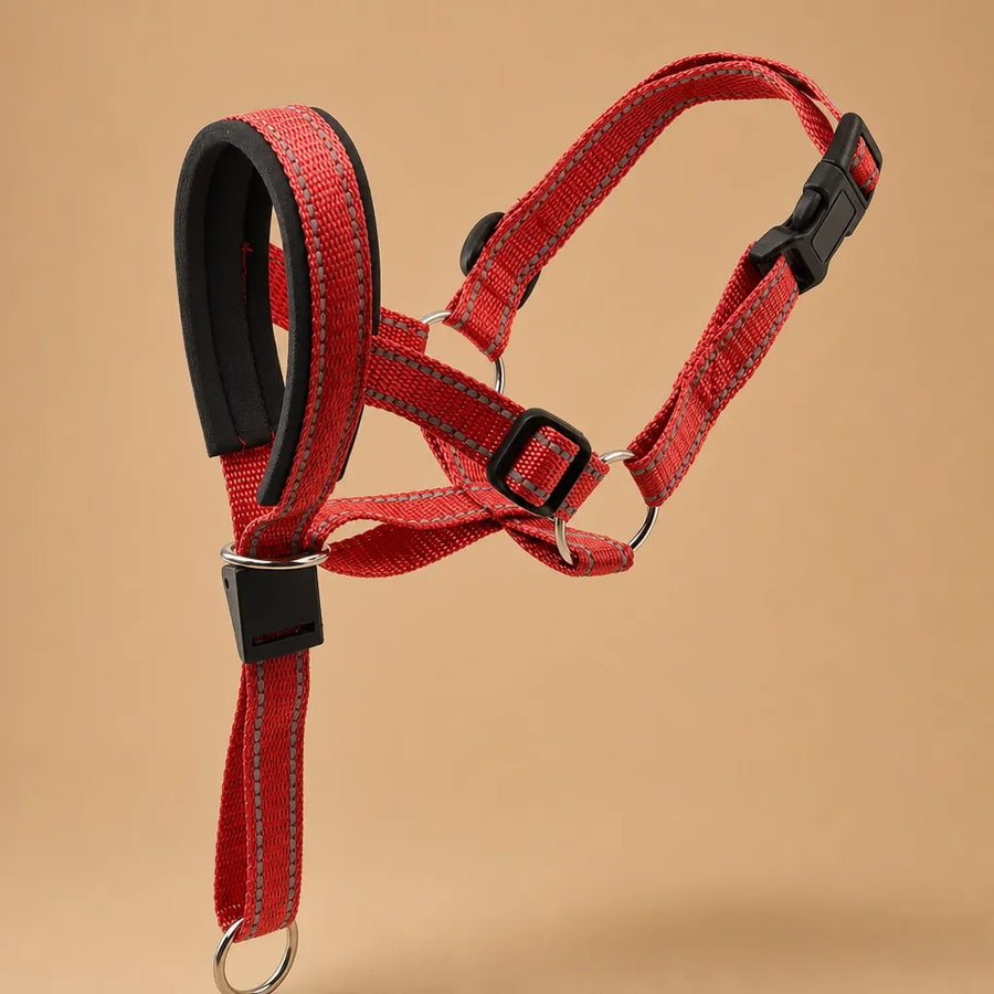 Muselière pour chien - Licol de tête nylon grandes races