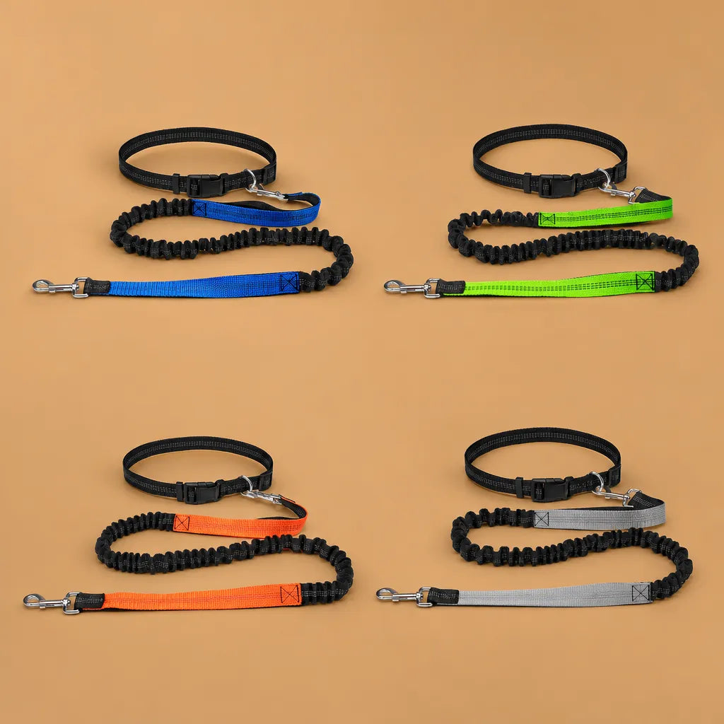 Laisse chien main libre - Ceinture réglable longe bungee