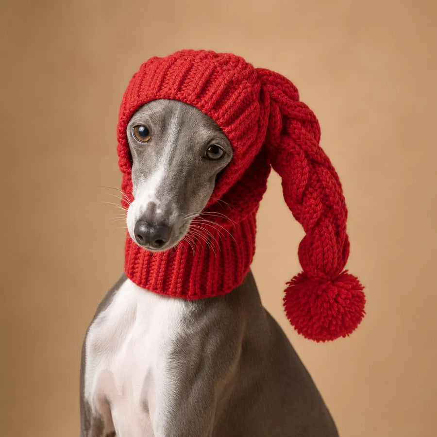 Snood pour Lévrier - Tricoté Main Whippet Greyhound
