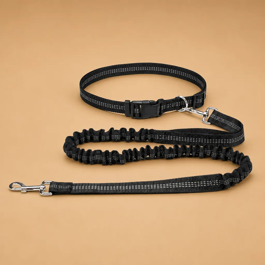 Laisse chien main libre - Ceinture réglable longe bungee