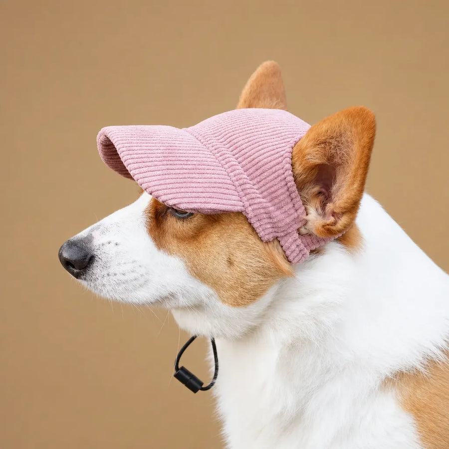Casquette pour petit chien - Velours côtelé & Trous oreilles
