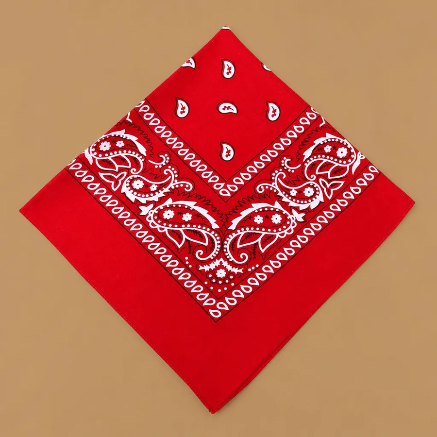 Bandana chien original paisley - 14 coloris 55 cm