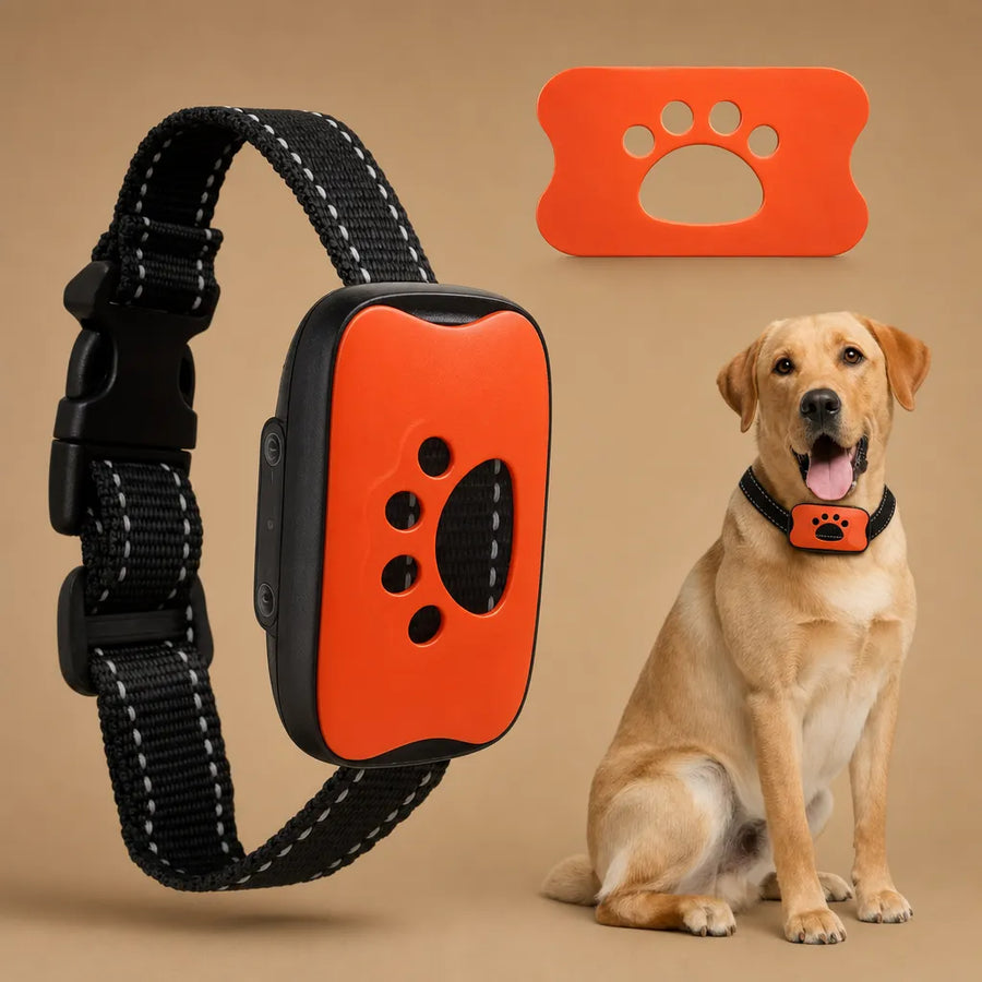 Collier anti aboiement pour chien - Son et vibration USB