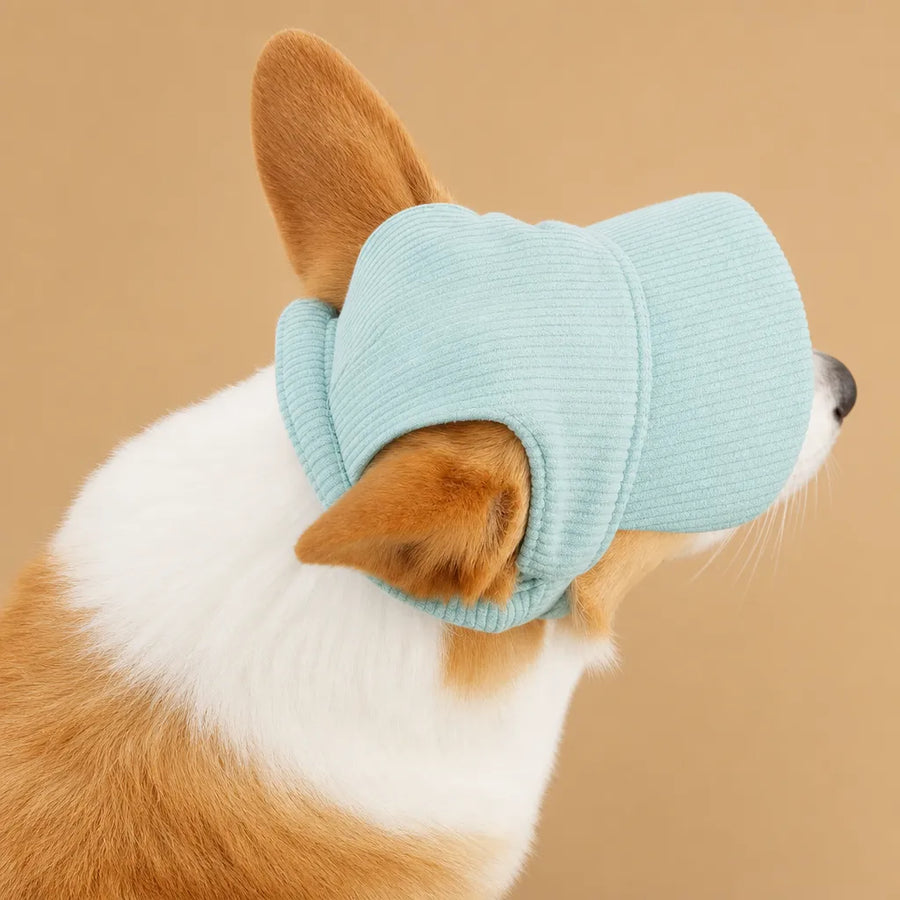 Casquette pour petit chien - Velours côtelé & Trous oreilles