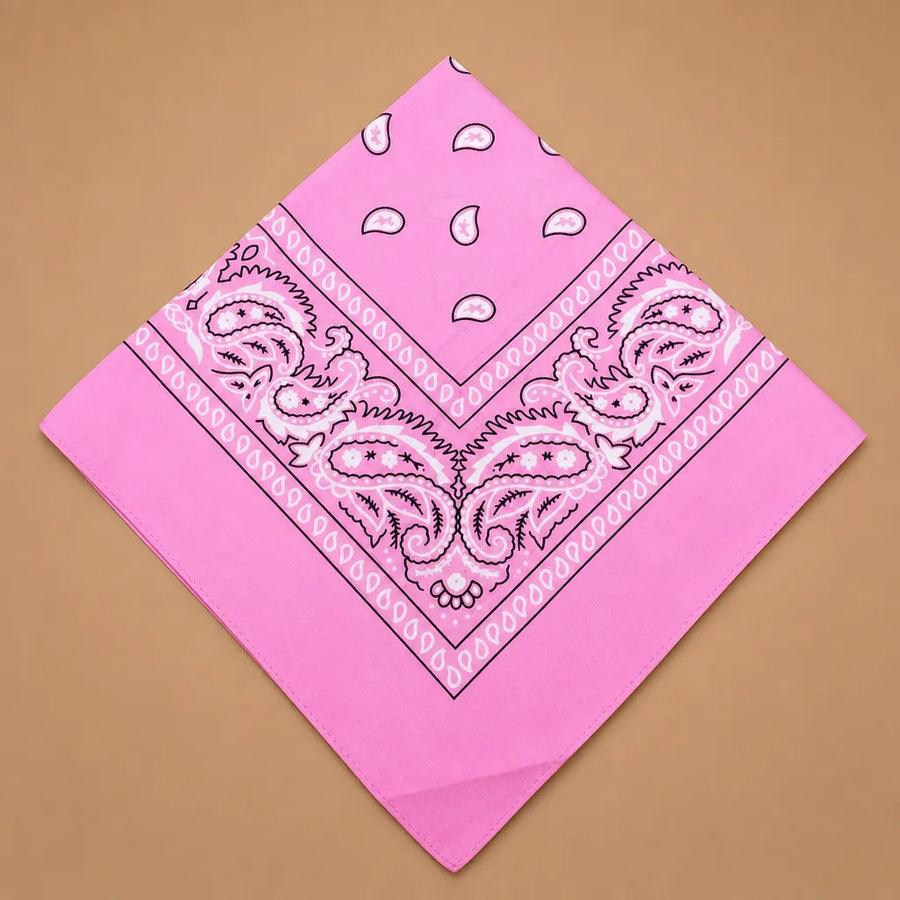 Bandana chien original paisley - 14 coloris 55 cm