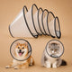 Collerette plastique chien transparente - 9 tailles
