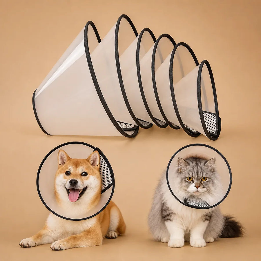 Collerette plastique chien transparente - 9 tailles