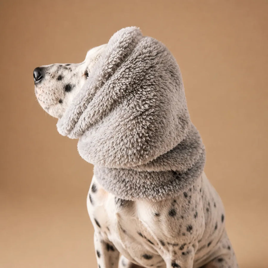 Cache oreille chien - Protection douce et réglable pour l'hiver