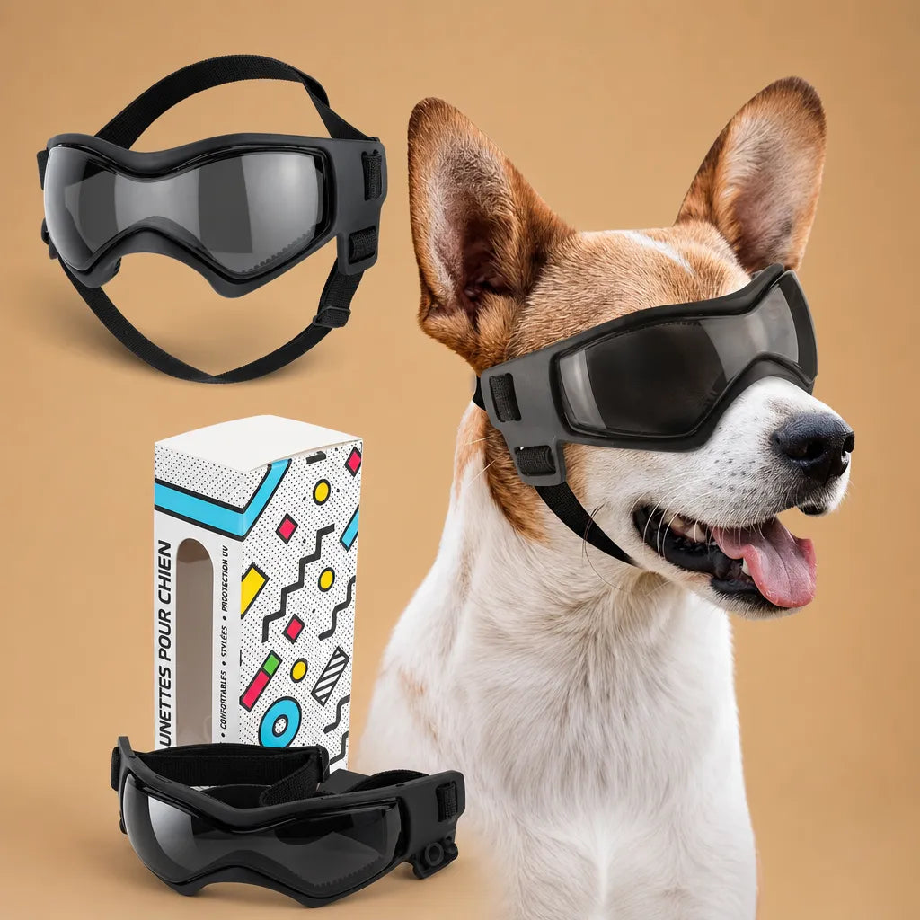 Lunette chien moto - Protection UV, vent et poussière