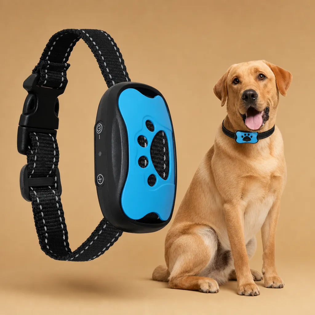 Collier anti aboiement pour chien - Son et vibration USB