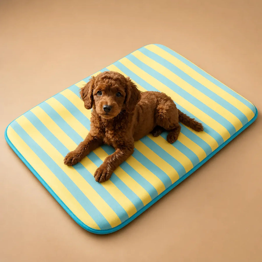 Tapis Frais pour Chien - Respirant et Confortable pour l'été