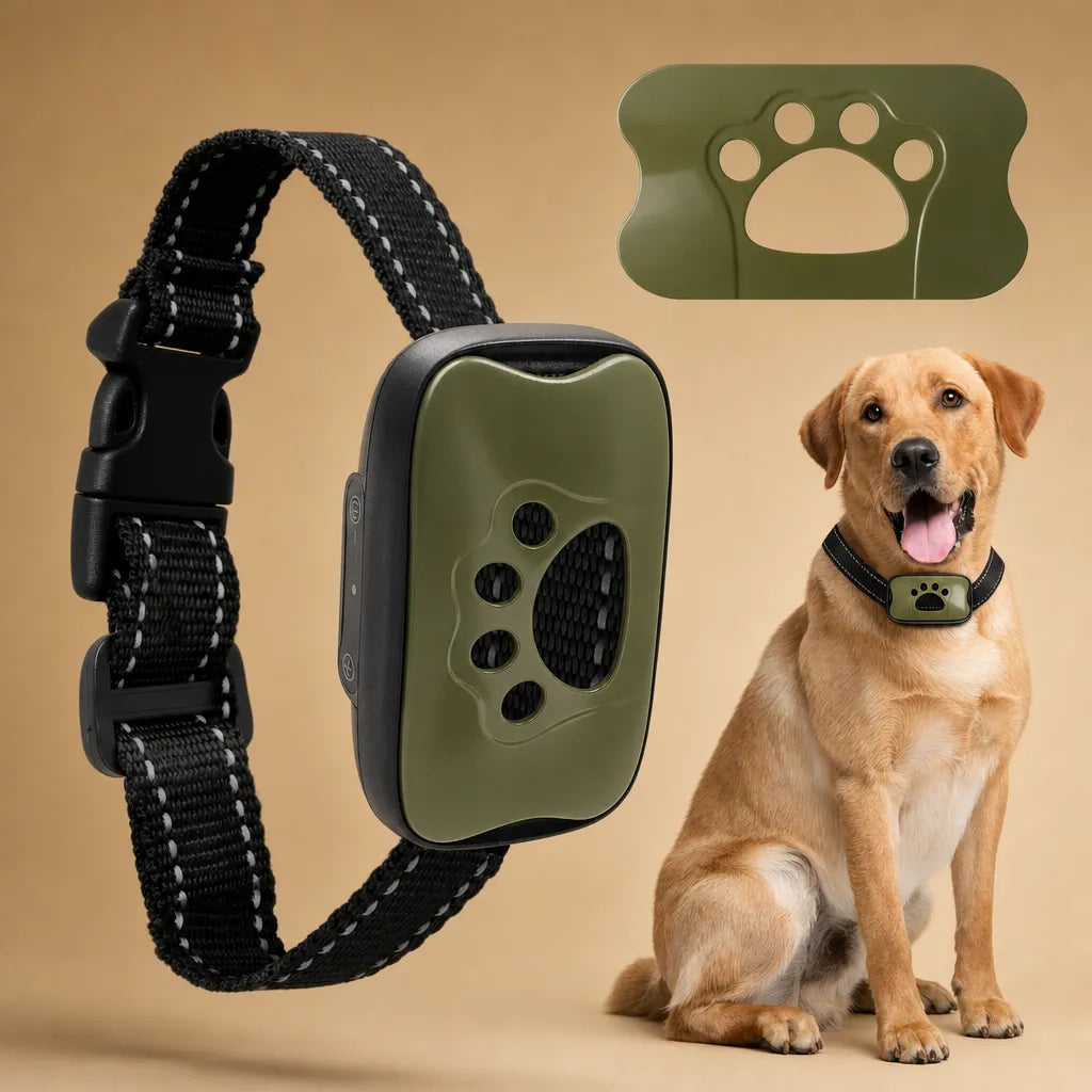 Collier anti aboiement pour chien - Son et vibration USB