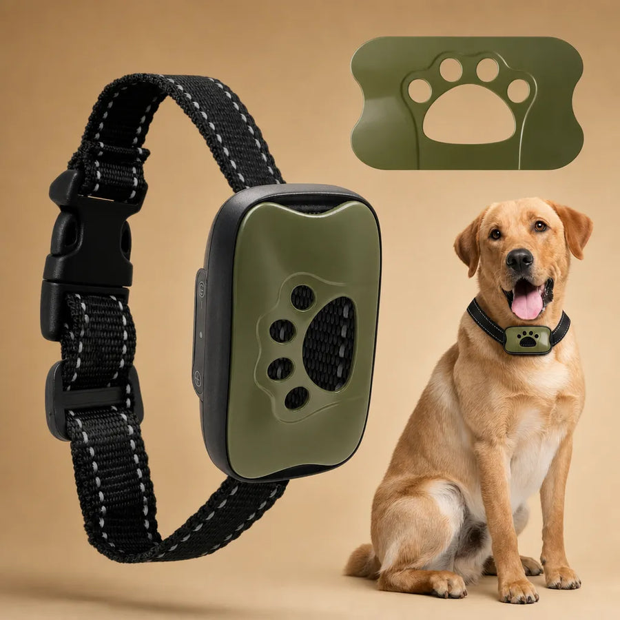 Collier anti aboiement pour chien - Son et vibration USB