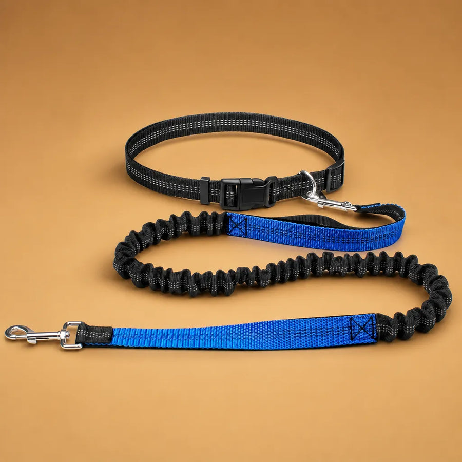 Laisse chien main libre - Ceinture réglable longe bungee